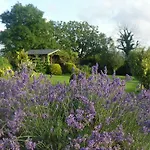 Moor View 4*