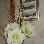 Moor View 4*