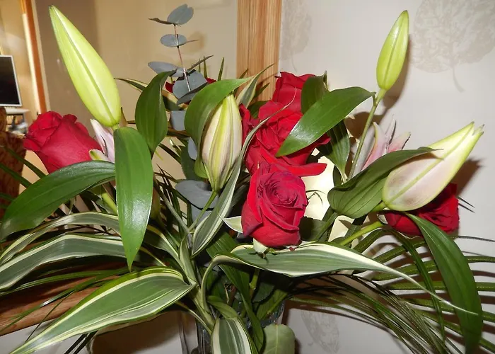 Bed & Breakfast Moor View Ingleton (North Yorkshire)