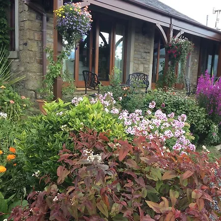 Bed & Breakfast Moor View