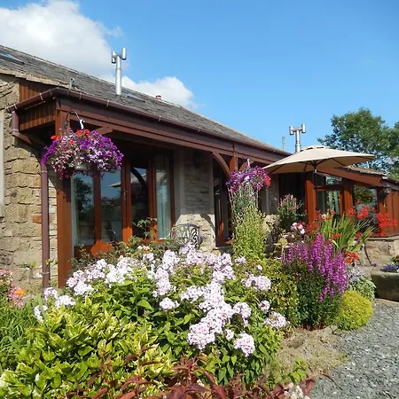 Moor View Bed & Breakfast