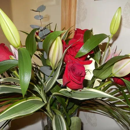 B&B Moor View 잉글턴